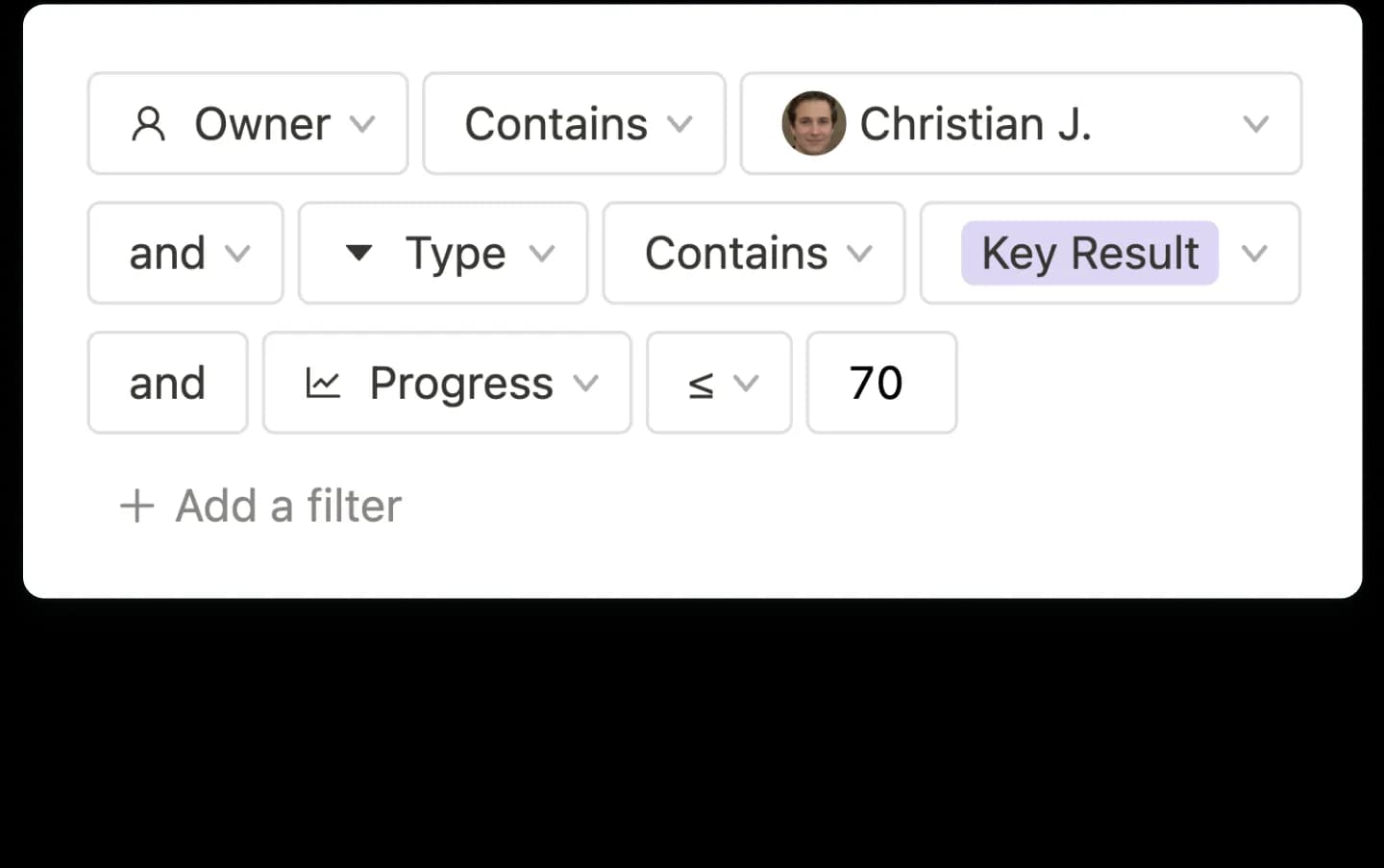 OKR Software Custom Filters