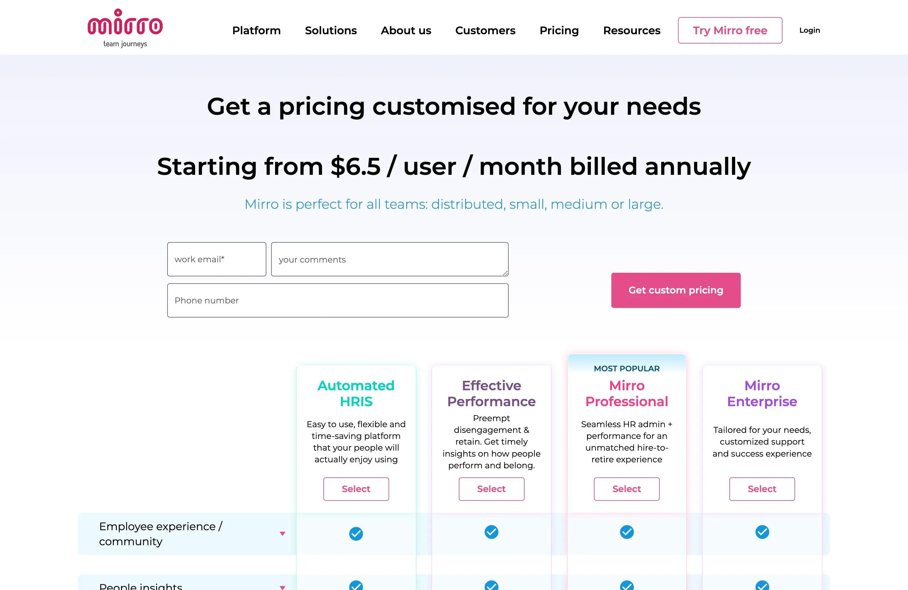 Mirro software pricing