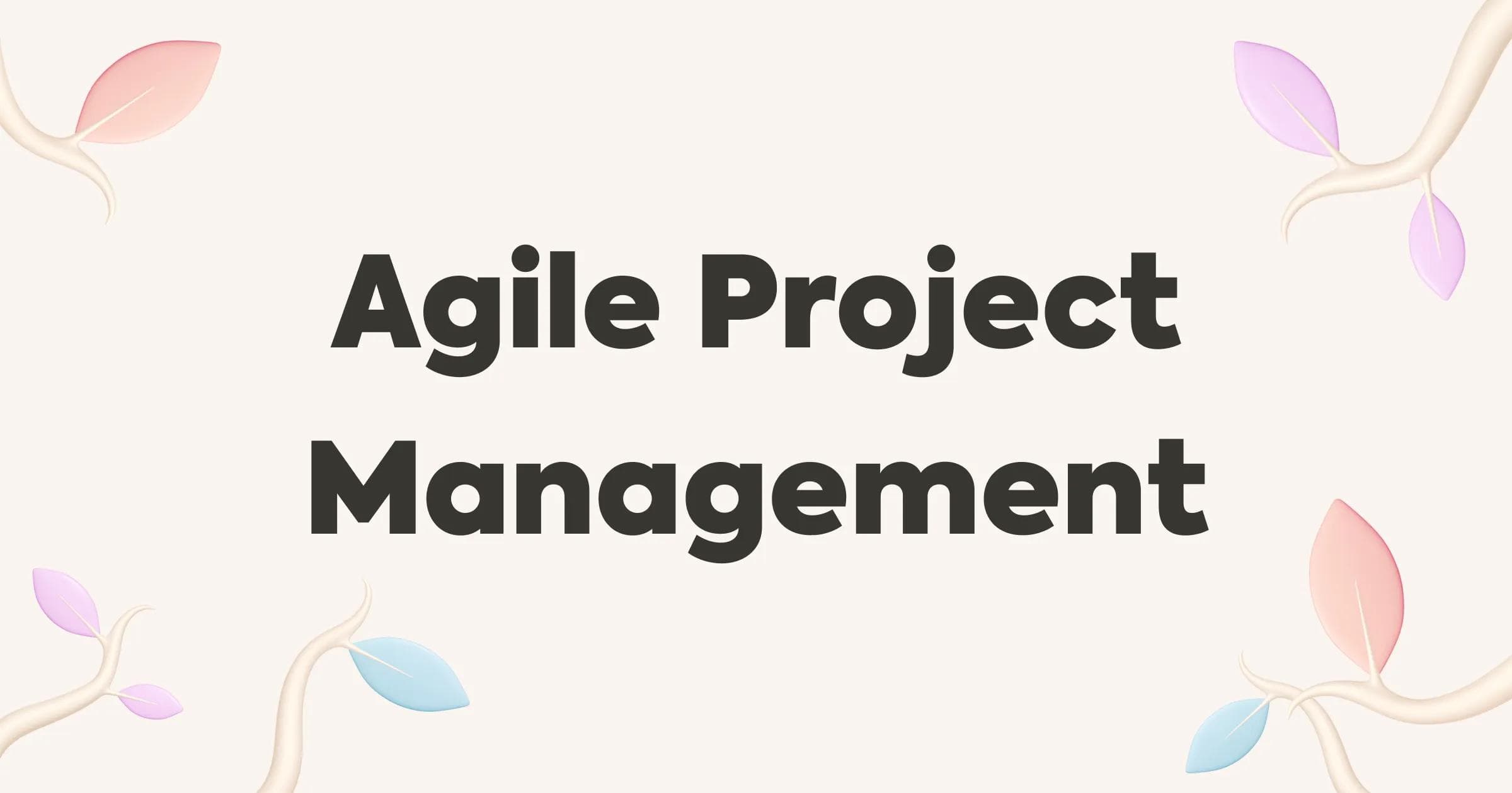 Agile Project Management