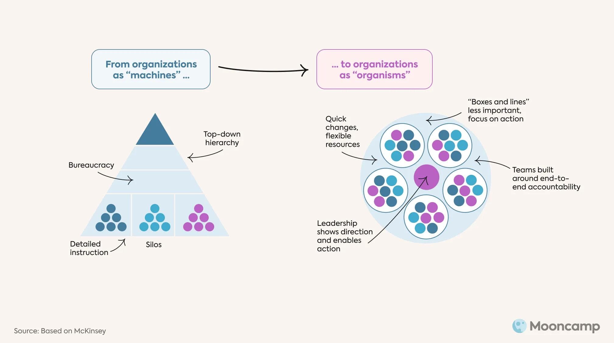 Agile Organisation