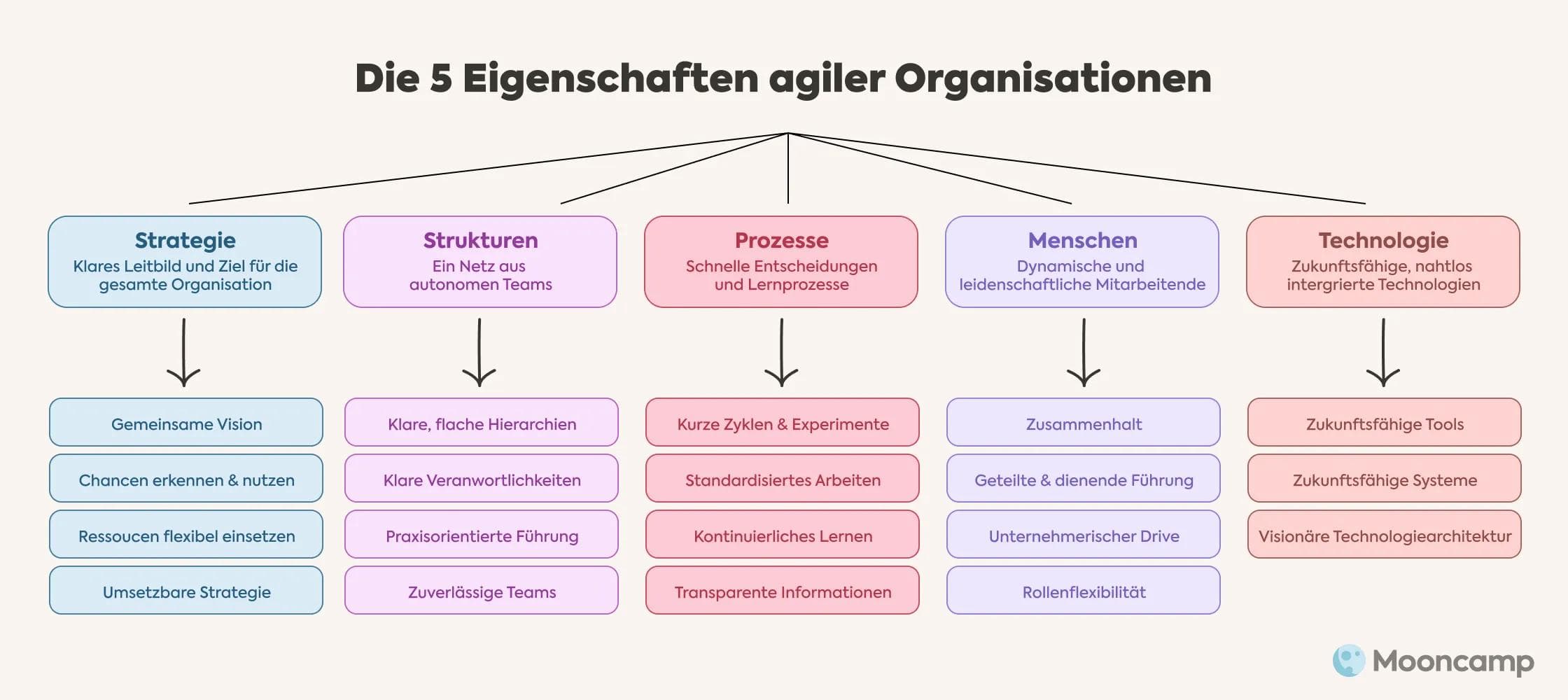 Eigenschaften agiler Organisationen