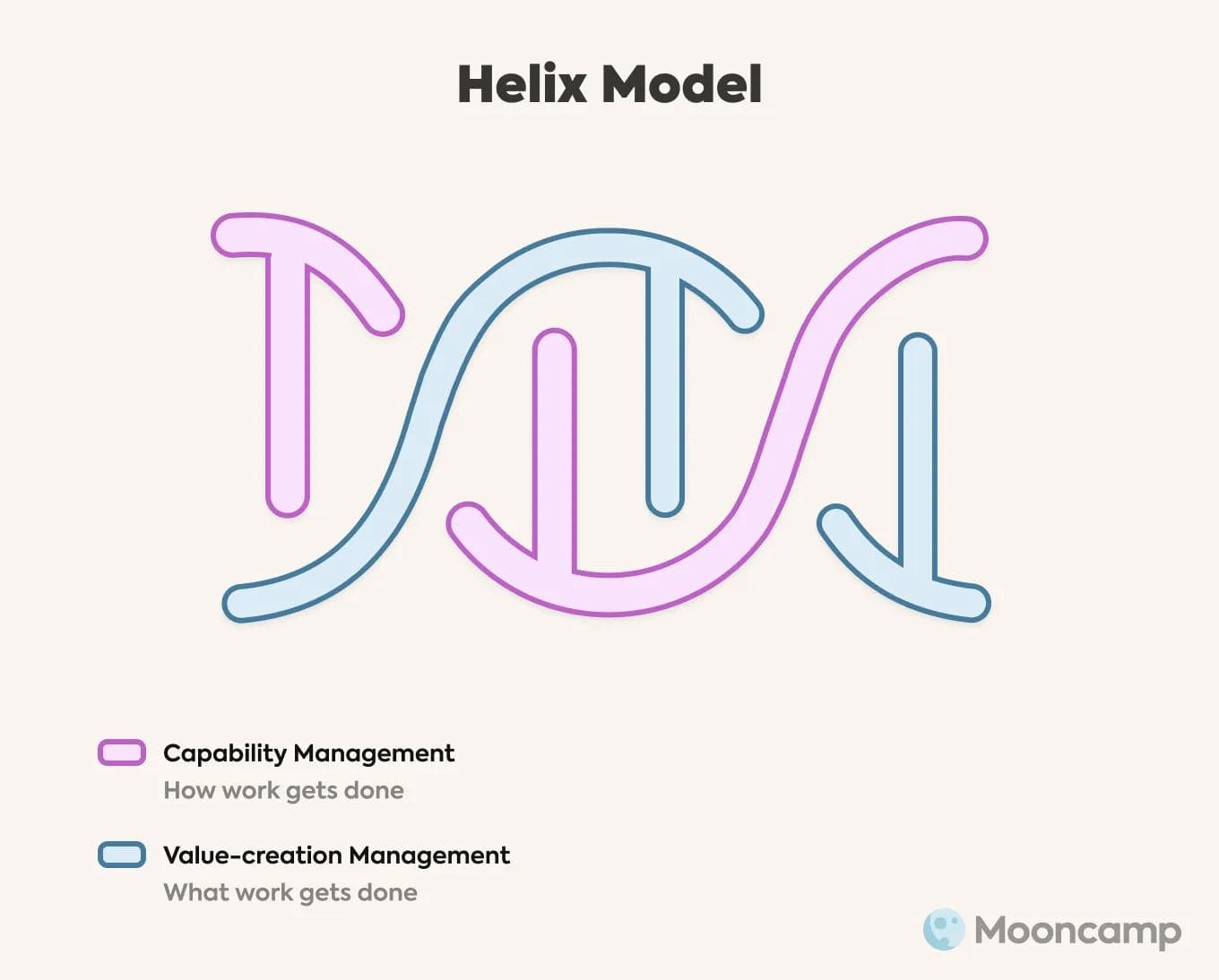 Helix Organization