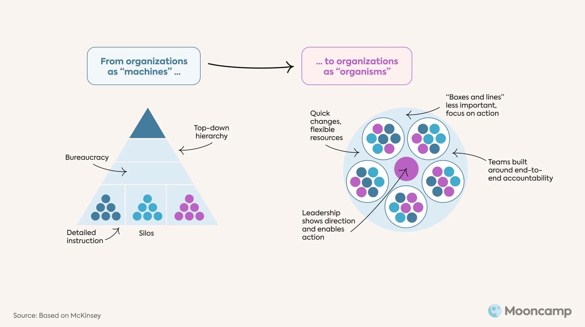 Agile organization