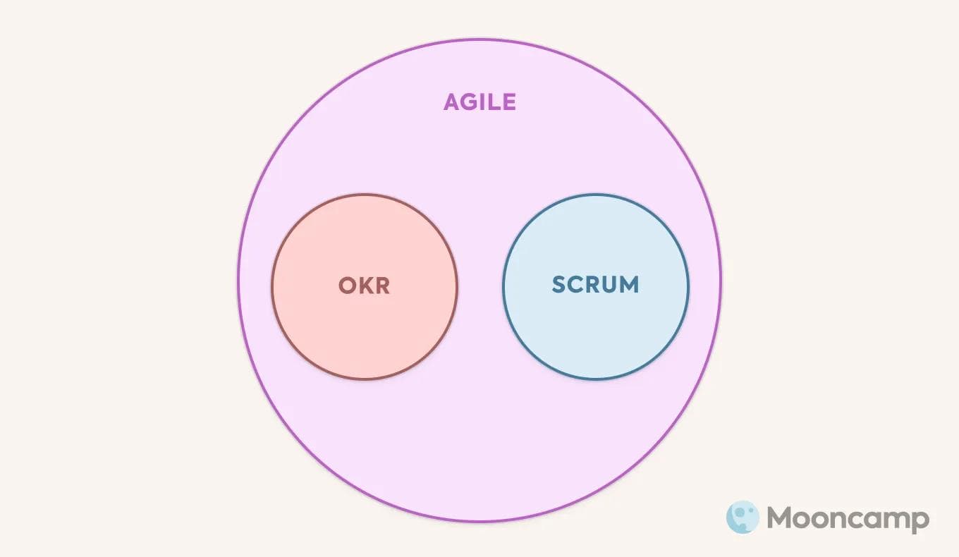 Agile, OKR und Scrum