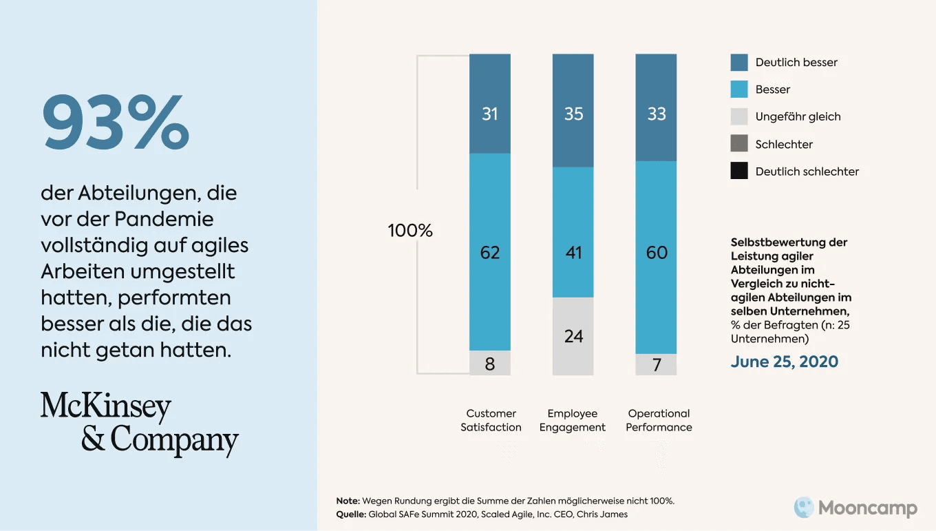 McKinsey Agilität Statistik
