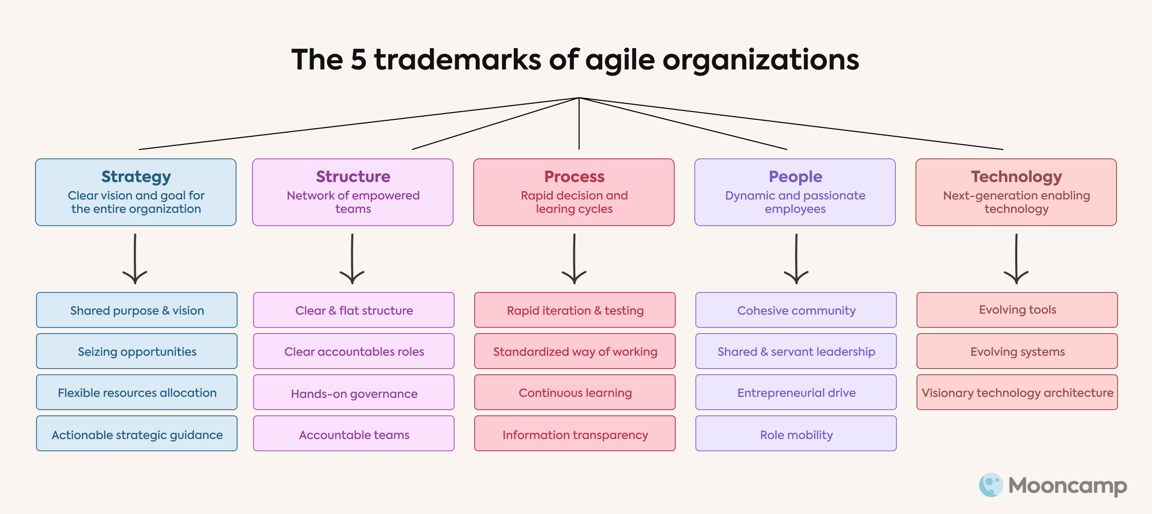 Characteristics of agile organizations